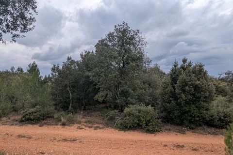 Terra a Aups, Var, Aups - € 12.000 | Ref: 3644 - foto 3