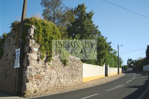 Villa i Bombarral, Leiria, Bombarral - € 797.000 | Ref: K1230 - foto 29
