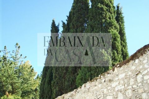 Villa i Bombarral, Leiria, Bombarral - € 797.000 | Ref: K1230 - foto 30