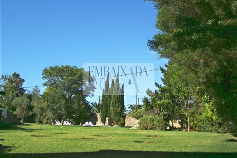 Villa i Bombarral, Leiria, Bombarral - € 797.000 | Ref: K1230 - foto 32