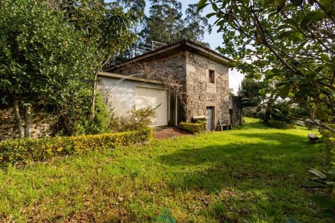 Farm i Ponte de Lima, Viana do Castelo, Ponte de Lima - € 580.000 | Ref: PTL-004-133 - foto 8