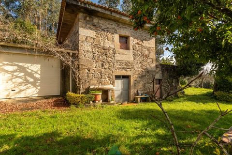Farm i Ponte de Lima, Viana do Castelo, Ponte de Lima - € 580.000 | Ref: PTL-004-133 - foto 9