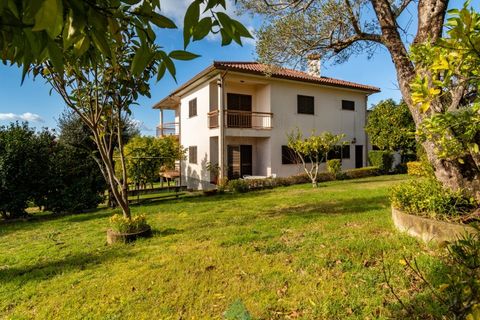 Farm i Ponte de Lima, Viana do Castelo, Ponte de Lima - € 580.000 | Ref: PTL-004-133 - foto 10
