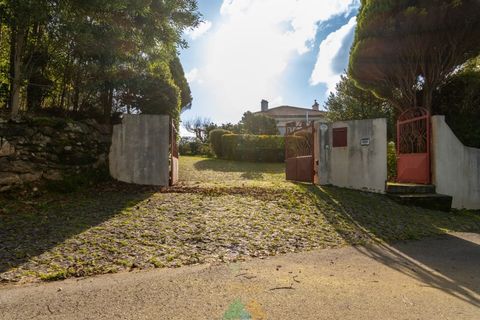 Farm i Ponte de Lima, Viana do Castelo, Ponte de Lima - € 580.000 | Ref: PTL-004-133 - foto 11