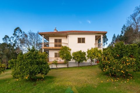 Farm i Ponte de Lima, Viana do Castelo, Ponte de Lima - € 580.000 | Ref: PTL-004-133 - foto 16