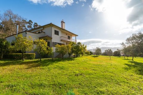 Farm i Ponte de Lima, Viana do Castelo, Ponte de Lima - € 580.000 | Ref: PTL-004-133 - foto 19
