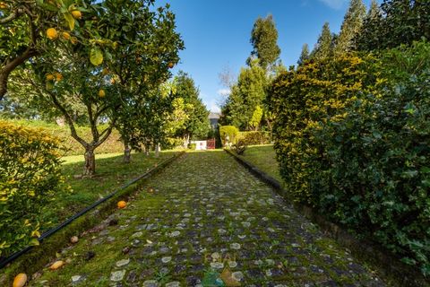 Farm i Ponte de Lima, Viana do Castelo, Ponte de Lima - € 580.000 | Ref: PTL-004-133 - foto 22