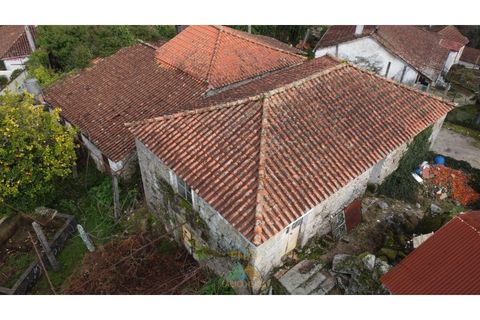 Villa i Arcos de Valdevez, Viana do Castelo, Arcos de Valdevez - € 55.000 | Ref: AVV-021-028 - foto 15