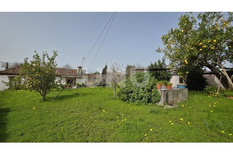 Villa i Ovar, Aveiro, Ovar - € 180 000 | Ref: UNU.I.1313.20562 - foto 23