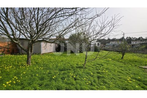Villa i Ovar, Aveiro, Ovar - € 180 000 | Ref: UNU.I.1313.20562 - foto 25