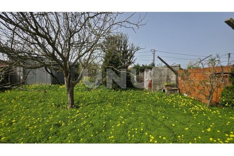 Villa i Ovar, Aveiro, Ovar - € 180 000 | Ref: UNU.I.1313.20562 - foto 26