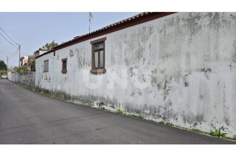 Villa i Ovar, Aveiro, Ovar - € 180 000 | Ref: UNU.I.1313.20562 - foto 32