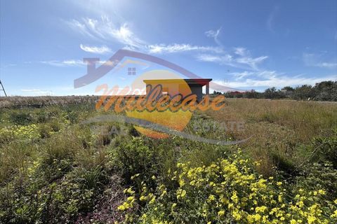 Villa a Augusta, Siracusa, Augusta - € 40.000 | Ref: RIF2906/40CASTELLUCCIO - foto 5