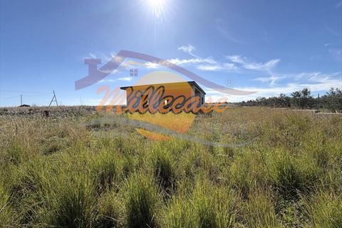 Villa a Augusta, Siracusa, Augusta - € 40.000 | Ref: RIF2906/40CASTELLUCCIO - foto 10