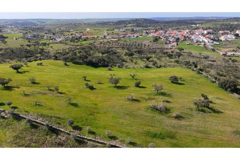 Helårsgrund i Alandroal, Evora, Alandroal - € 38.900 | Ref: ALT002/045'026 - foto 3