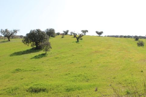 Helårsgrund i Alandroal, Evora, Alandroal - € 38.900 | Ref: ALT002/045'026 - foto 4