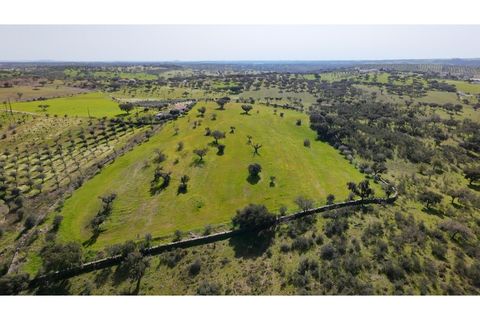 Helårsgrund i Alandroal, Evora, Alandroal - € 38.900 | Ref: ALT002/045'026 - foto 7