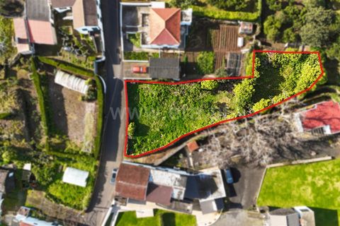 Helårsgrund i Sao Roque do Pico, Pico, Sao Roque do Pico - € 74.000 | Ref: 374250323 - foto 3