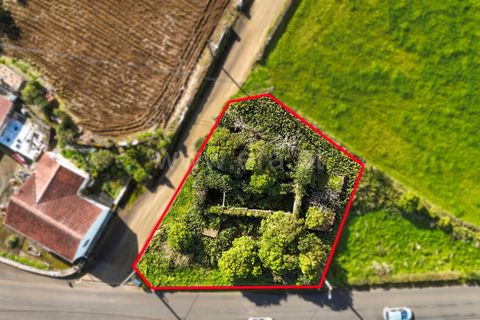 Villa i Sao Roque do Pico, Pico, Sao Roque do Pico - € 89.000 | Ref: 374250325 - foto 9