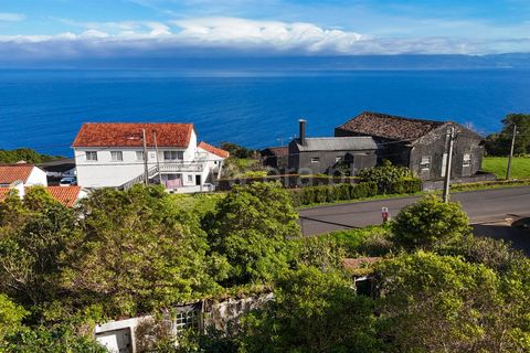 Villa i Sao Roque do Pico, Pico, Sao Roque do Pico - € 89.000 | Ref: 374250325 - foto 10