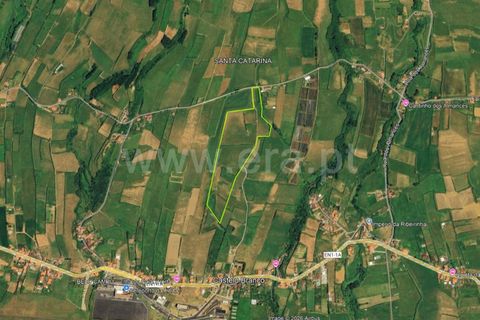Helårsgrund i Horta, Faial, Horta - € 149.000 | Ref: 374260024 - foto 4