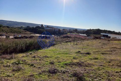 Helårsgrund i Constancia, Santarem, Constancia - € 85.000 | Ref: 1123281 - foto 14