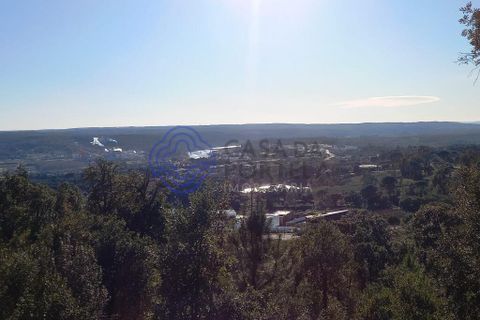 Helårsgrund i Constancia, Santarem, Constancia - € 85.000 | Ref: 1123281 - foto 17