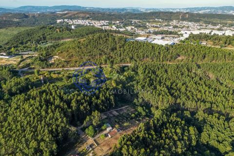 Helårsgrund i Gondomar, Porto, Gondomar - € 70.000 | Ref: 168241 - foto 4