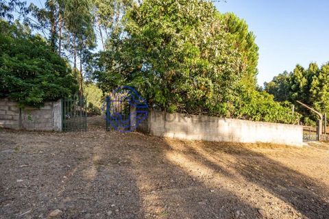 Helårsgrund i Gondomar, Porto, Gondomar - € 70.000 | Ref: 168241 - foto 15