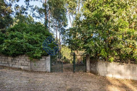 Helårsgrund i Gondomar, Porto, Gondomar - € 70.000 | Ref: 168241 - foto 16