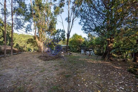 Helårsgrund i Gondomar, Porto, Gondomar - € 70.000 | Ref: 168241 - foto 17