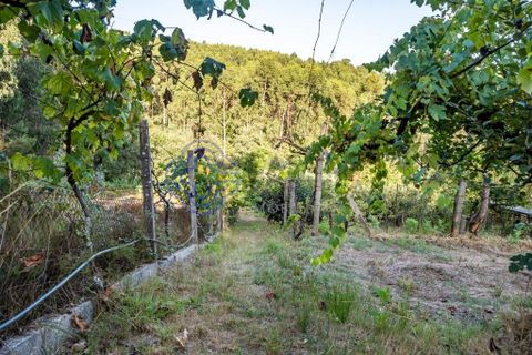 Helårsgrund i Gondomar, Porto, Gondomar - € 70.000 | Ref: 168241 - foto 19