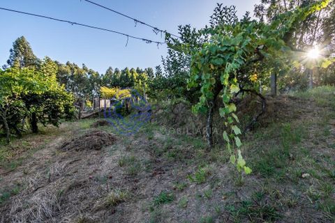 Helårsgrund i Gondomar, Porto, Gondomar - € 70.000 | Ref: 168241 - foto 20