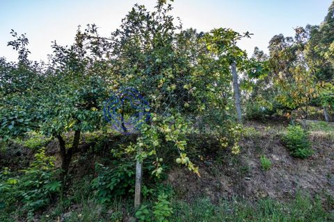 Helårsgrund i Gondomar, Porto, Gondomar - € 70.000 | Ref: 168241 - foto 21