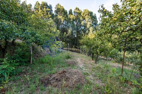 Helårsgrund i Gondomar, Porto, Gondomar - € 70.000 | Ref: 168241 - foto 22