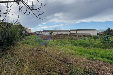 Farm i Gondomar, Porto, Gondomar - € 379.000 | Ref: 1123881 - foto 13