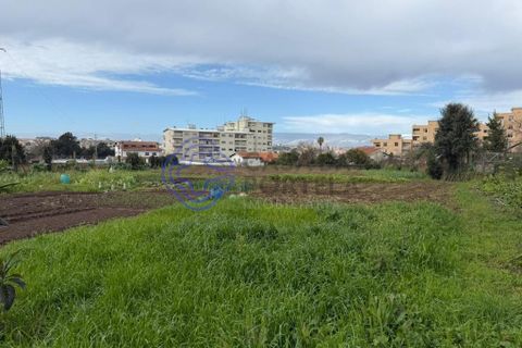 Farm i Gondomar, Porto, Gondomar - € 379.000 | Ref: 1123881 - foto 16