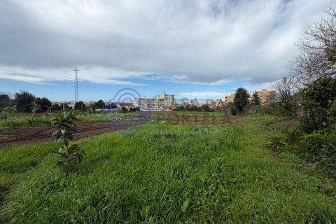 Farm i Gondomar, Porto, Gondomar - € 379.000 | Ref: 1123881 - foto 19
