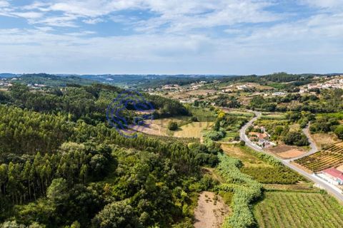 Byhus i Caldas da Rainha, Leiria, Caldas da Rainha - € 600.000 | Ref: 1122821 - foto 48