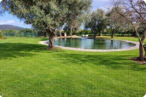 Farm hus i Olhao, Faro, Olhao - € 8.500.000 | Ref: C0500-00105 - foto 1