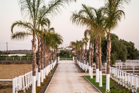 Farm hus i Olhao, Faro, Olhao - € 8.500.000 | Ref: C0500-00105 - foto 2
