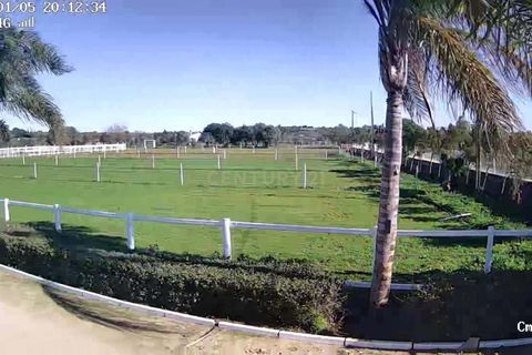 Farm hus i Olhao, Faro, Olhao - € 8.500.000 | Ref: C0500-00105 - foto 4