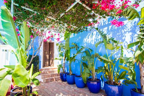 Farm hus i Olhao, Faro, Olhao - € 8.500.000 | Ref: C0500-00105 - foto 17