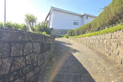 Villa a Penafiel, Porto, Penafiel - € 598.000 | Ref: C0188-01882 - foto 12