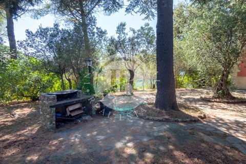 Villa a Avegno, Genoa, Avegno - € 600.000 | Ref: IB 721 - foto 17