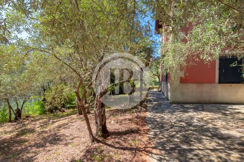 Villa a Avegno, Genoa, Avegno - € 600.000 | Ref: IB 721 - foto 21