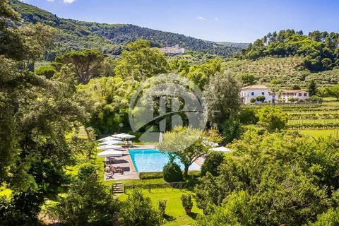 Villa i Lucca, Lucca, Lucca - € 5.000.000 | Ref: IB 481 - foto 2