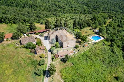 Villa a Grosseto, Grosseto, Grosseto - € 6.500.000 | Ref: IB 532 - foto 3