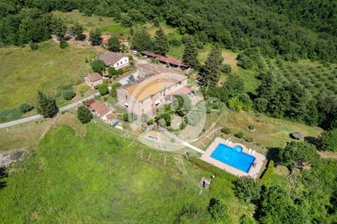 Villa a Grosseto, Grosseto, Grosseto - € 6.500.000 | Ref: IB 532 - foto 5