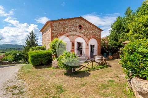 Villa a Grosseto, Grosseto, Grosseto - € 6.500.000 | Ref: IB 532 - foto 6